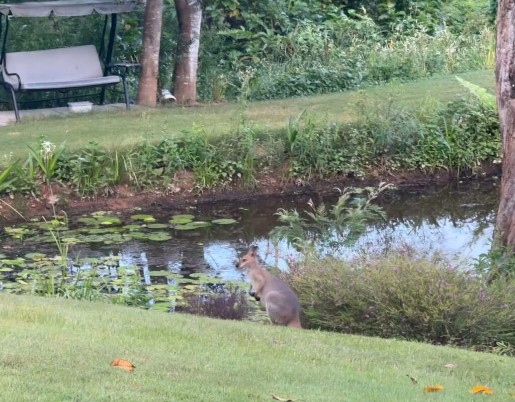 462571512_1375410293866631_3474577844239538819_n (1)