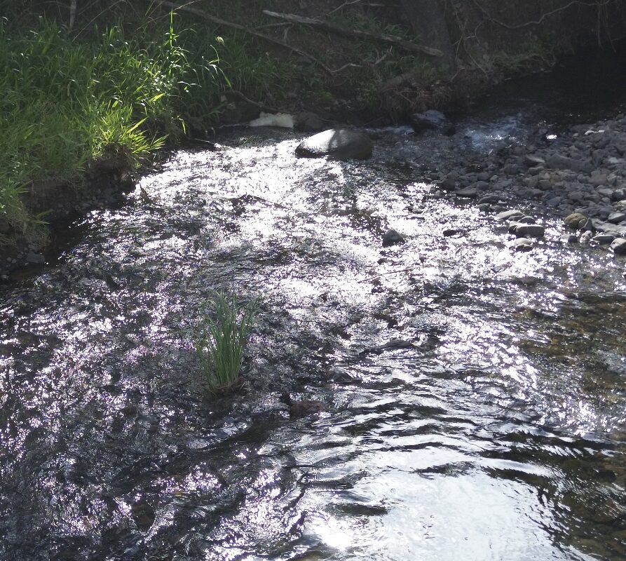 181AAC1C-5789-4DD1-8D5D-28064F902EFF