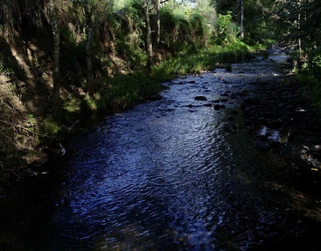 E49355EF-DB66-478F-9CD2-78C7FB08BE08