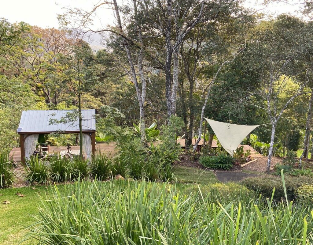 tropical garden area