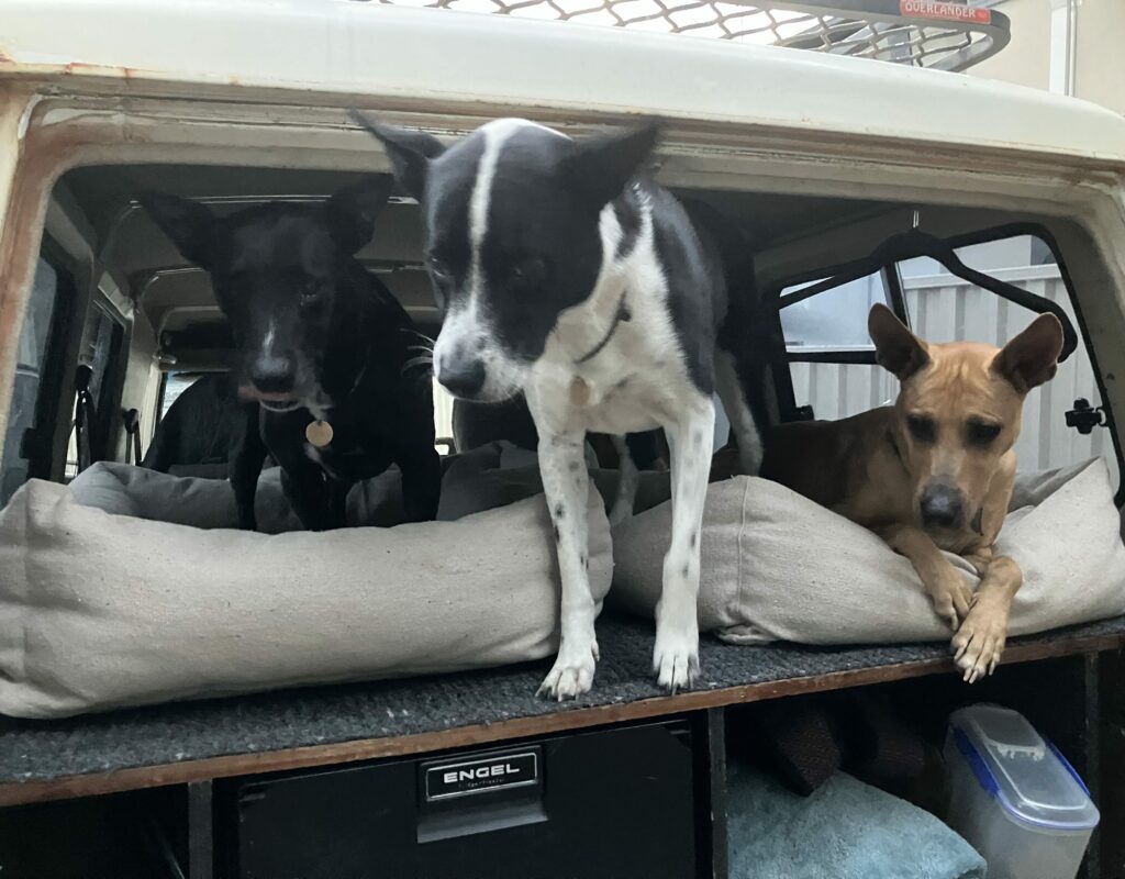 32887BED-9754-4FF9-AE5E-942E23B301E0