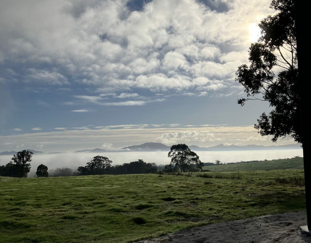 E31042B7-F2E1-417B-A999-B7FDA32F4189