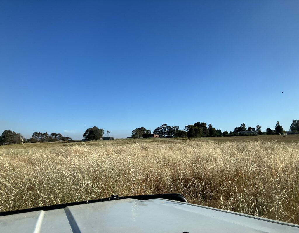 E71B5547-EDB1-484A-87DC-E2B2C61B229E