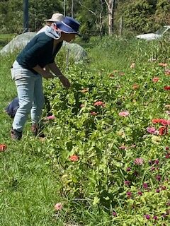 WORKING WITH THE FLOWERS
