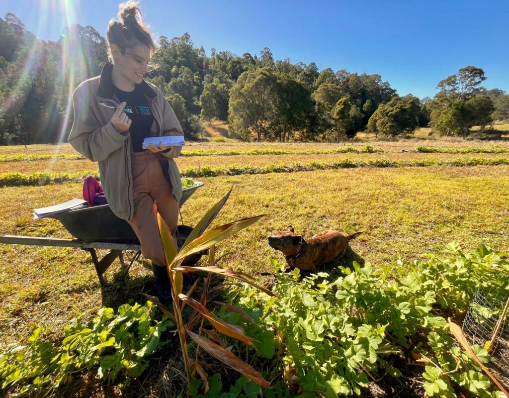 4ee9f720-7dd4-4c33-81fb-5f4018762869