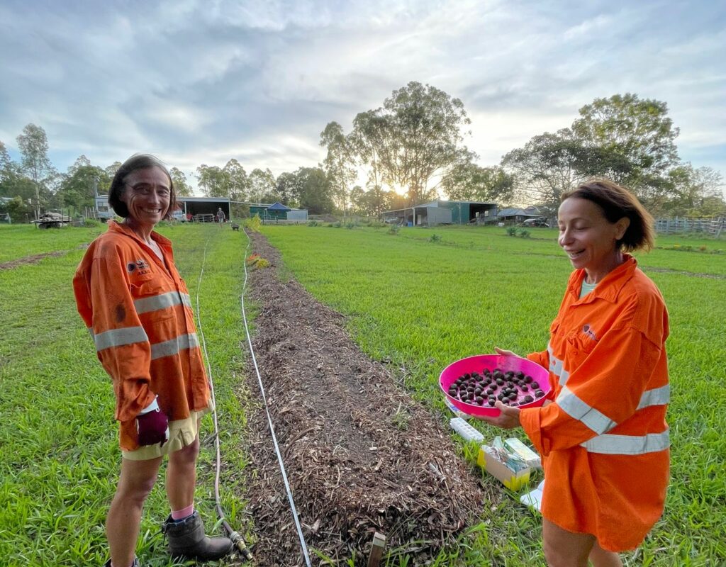 99746bcd-f6bd-4193-83ac-1354ad1dbb5e