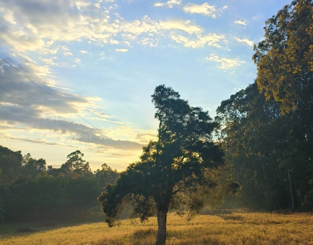 dfa9aa84-f303-4274-bb5a-9a0655883e5c