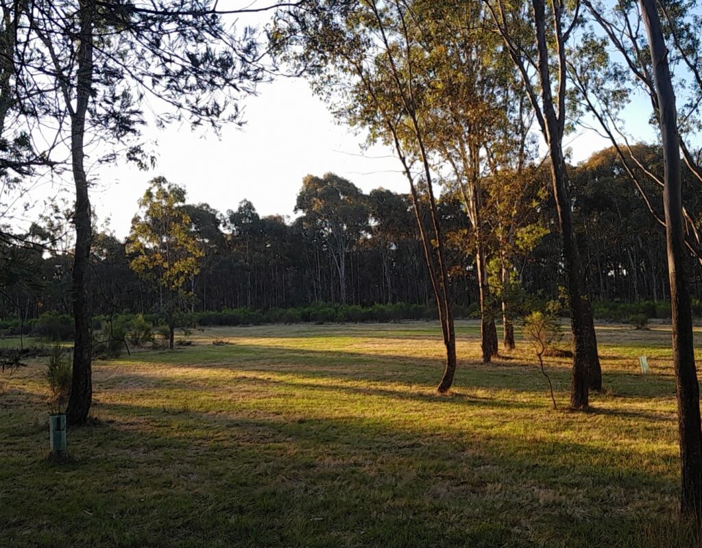 wx_camera_1704444617491