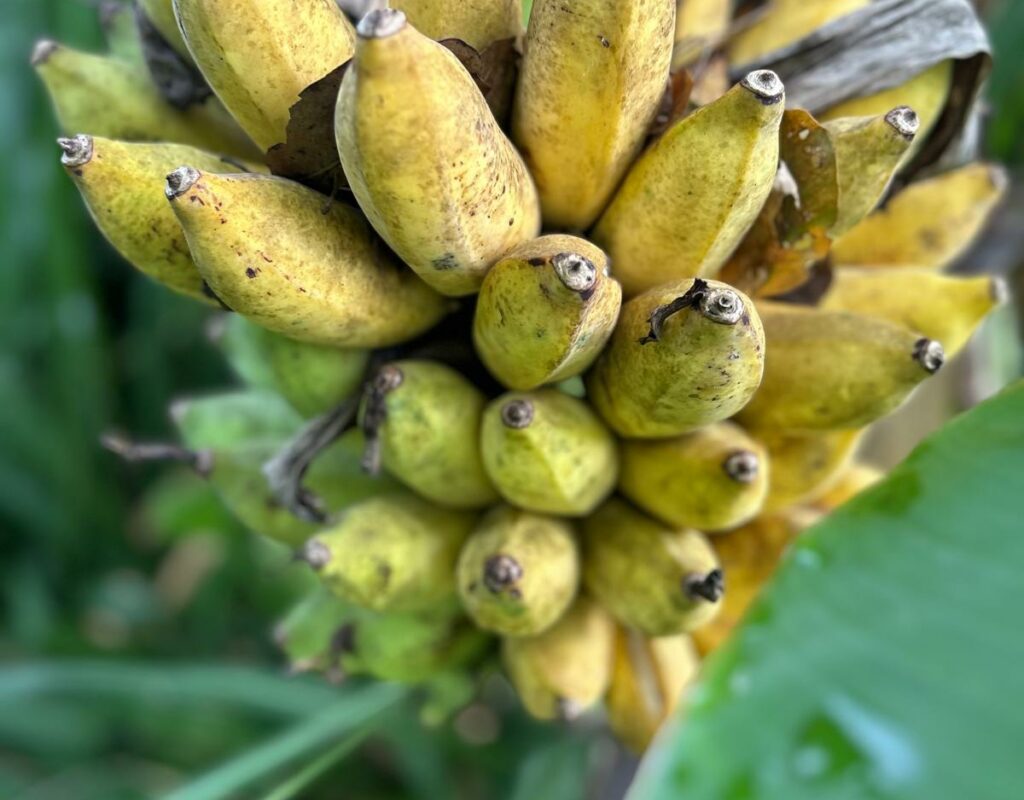 PHOTO-2024-11-16-11-58-54 (1)