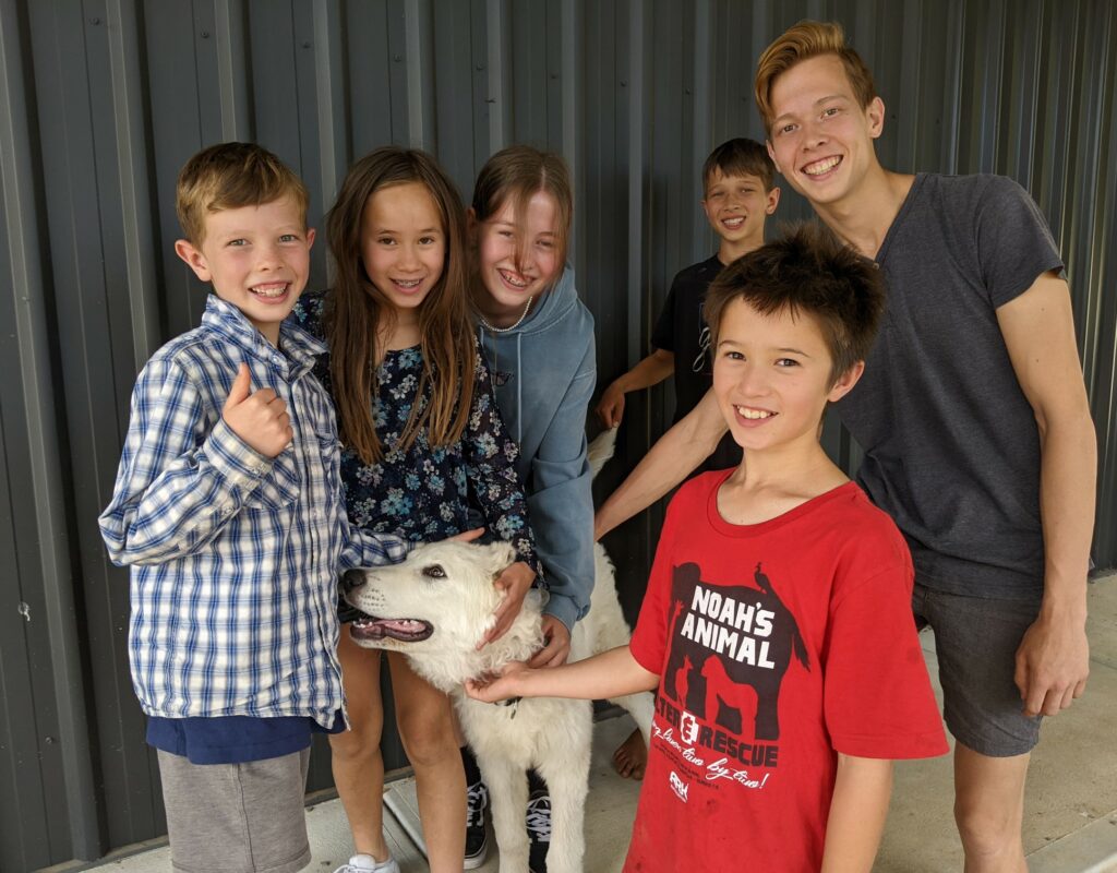 PXL_20240207_024005069.MP_copy_2016x1512