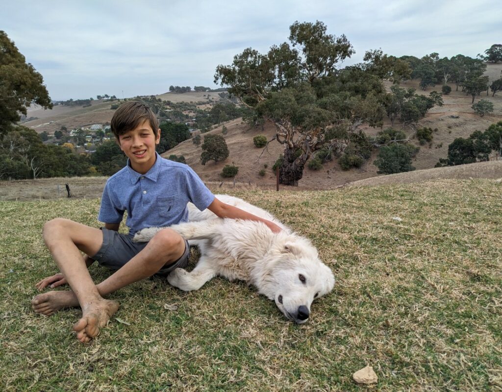 PXL_20240529_134230346.MV_copy_1152x864