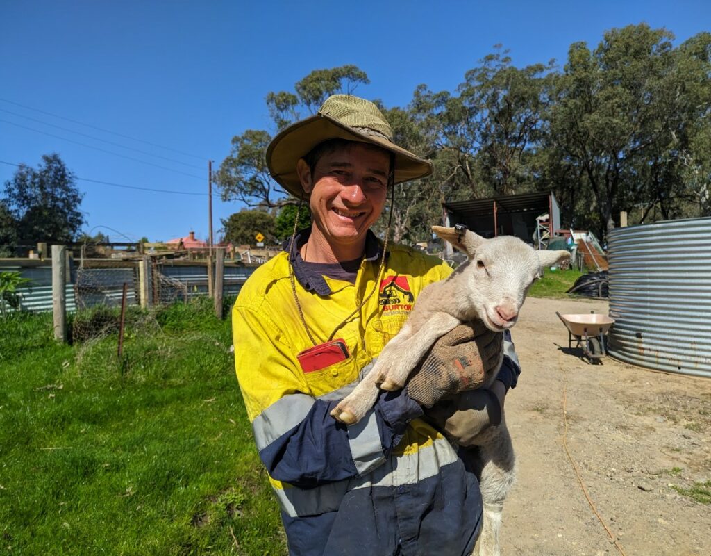 PXL_20240916_135136506.MV_copy_1152x864