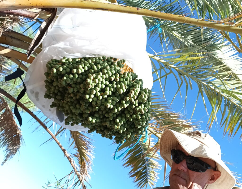 IMG_20241204_091444_900