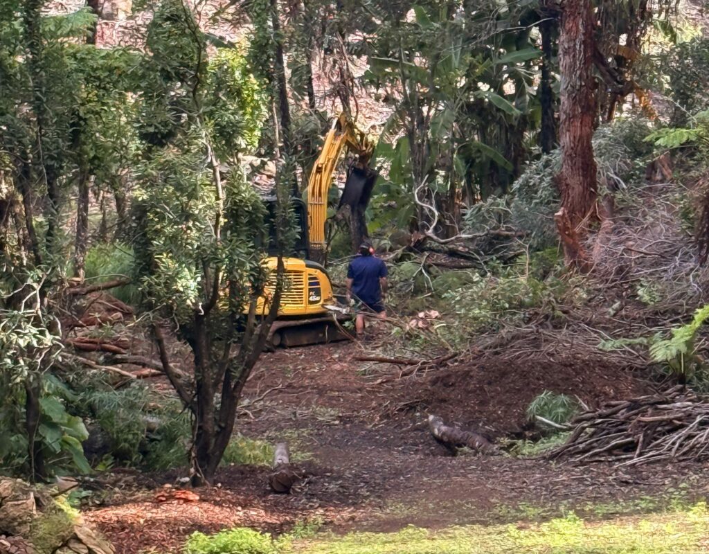 (Upload-from-mobile-1747626416)IMG_9254