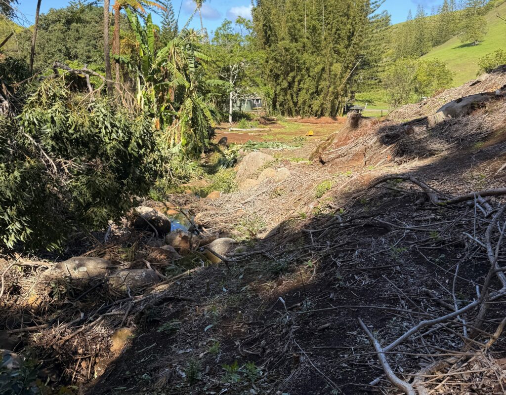 (Upload-from-mobile-1747626416)IMG_9270