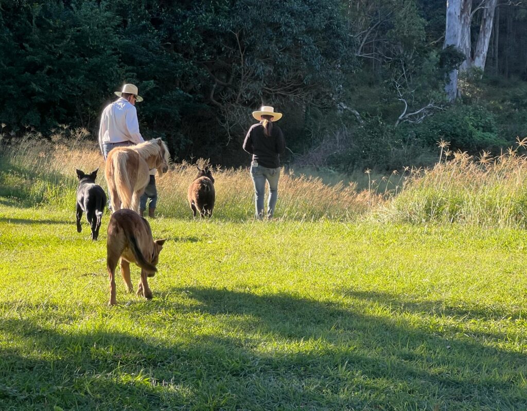 att.cR9N138baXByRbf0fHhKwXr9URobp13OOSA7tUvEQXM