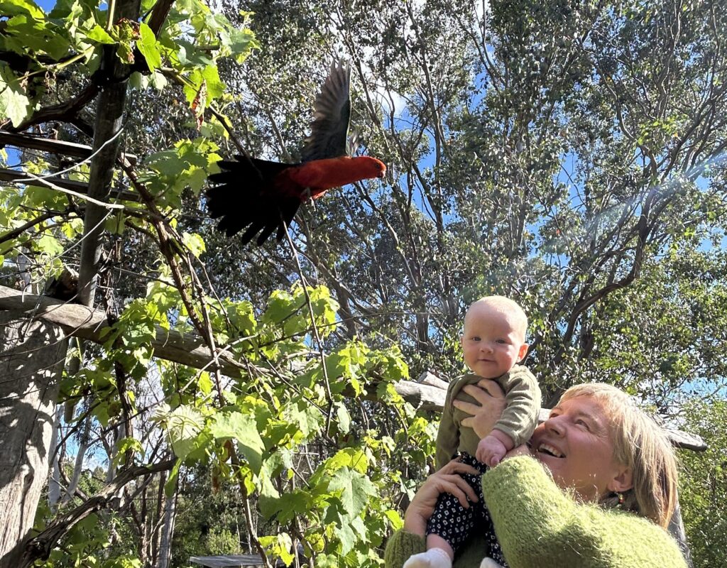 8E5FC21B-AA46-4926-9E64-B955DD339BAA