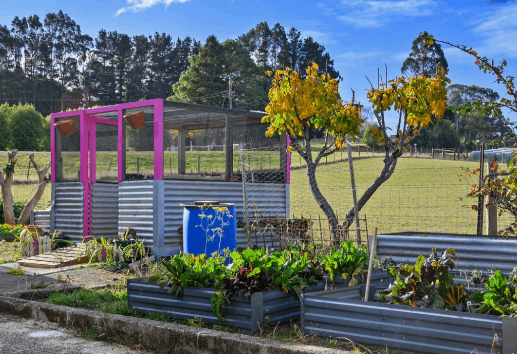 Screenshot 2025-08-19 111439