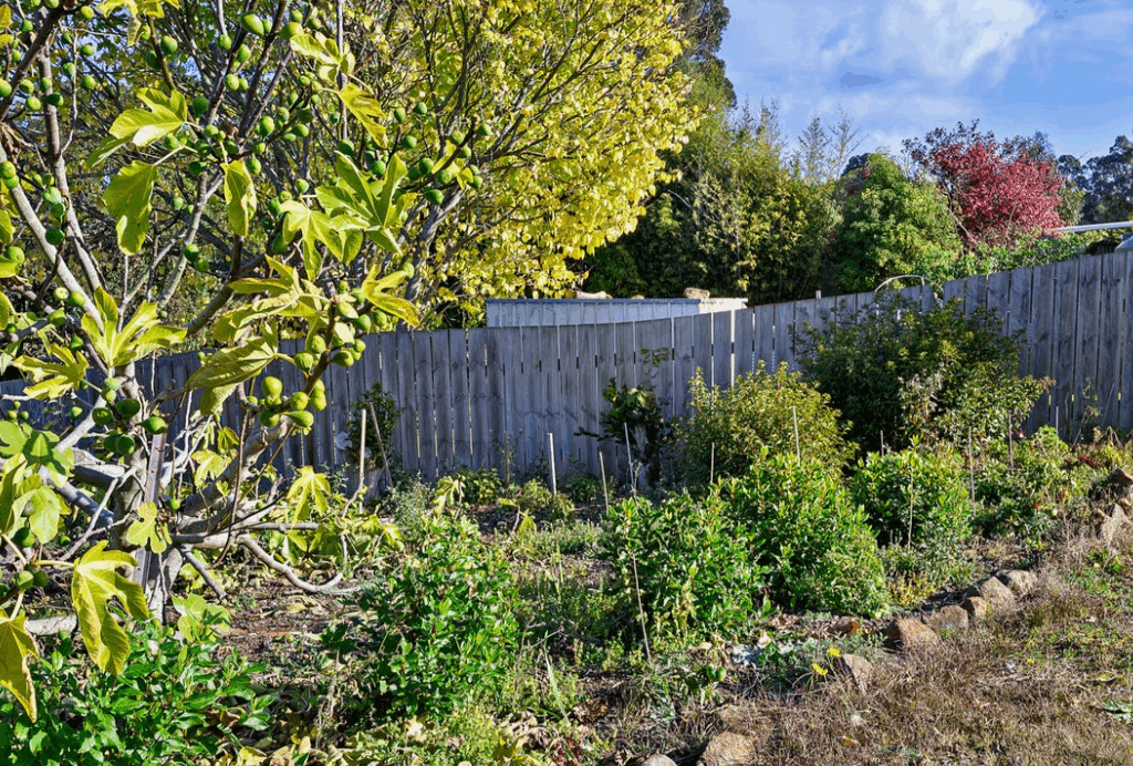 Screenshot 2025-08-19 111456