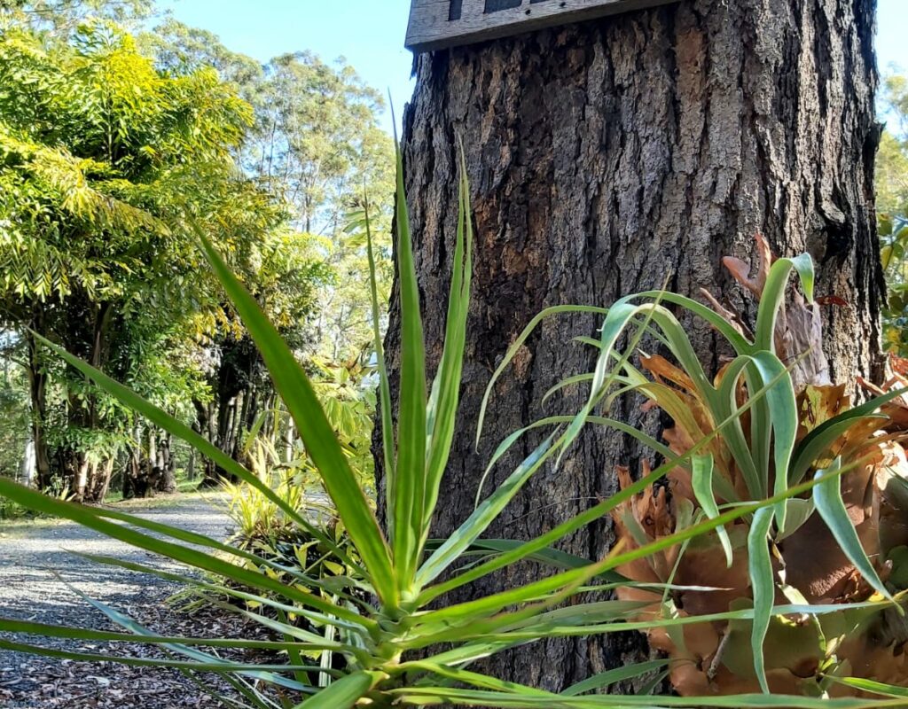 PHOTO-2020-10-16-12-59-34-2