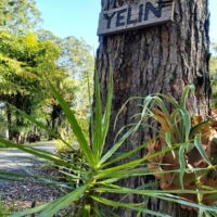 PHOTO-2020-10-16-12-59-34-2 