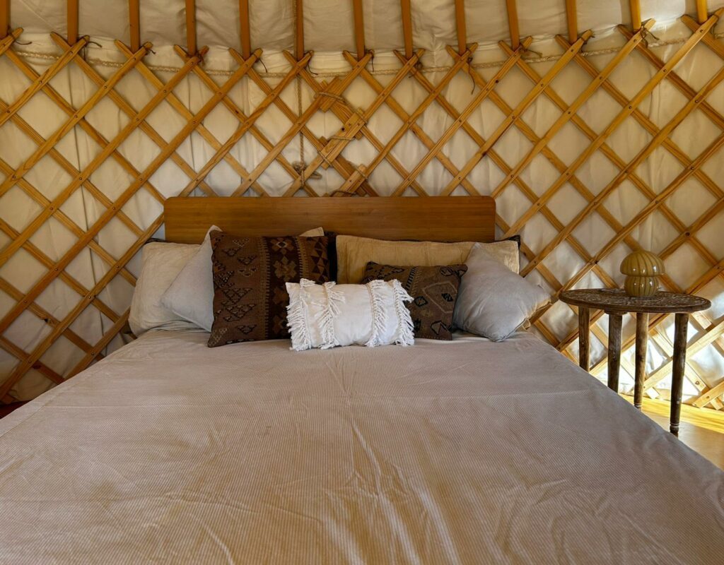 WhatsApp Image 2025-09-04 at 12.51.01