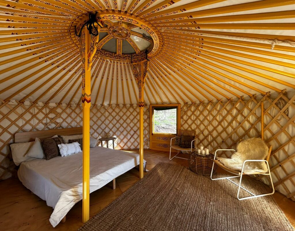 WhatsApp Image 2025-09-04 at 12.51.03(8)