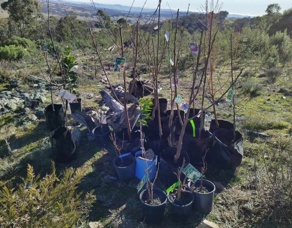 IMG_20210806_092604_2