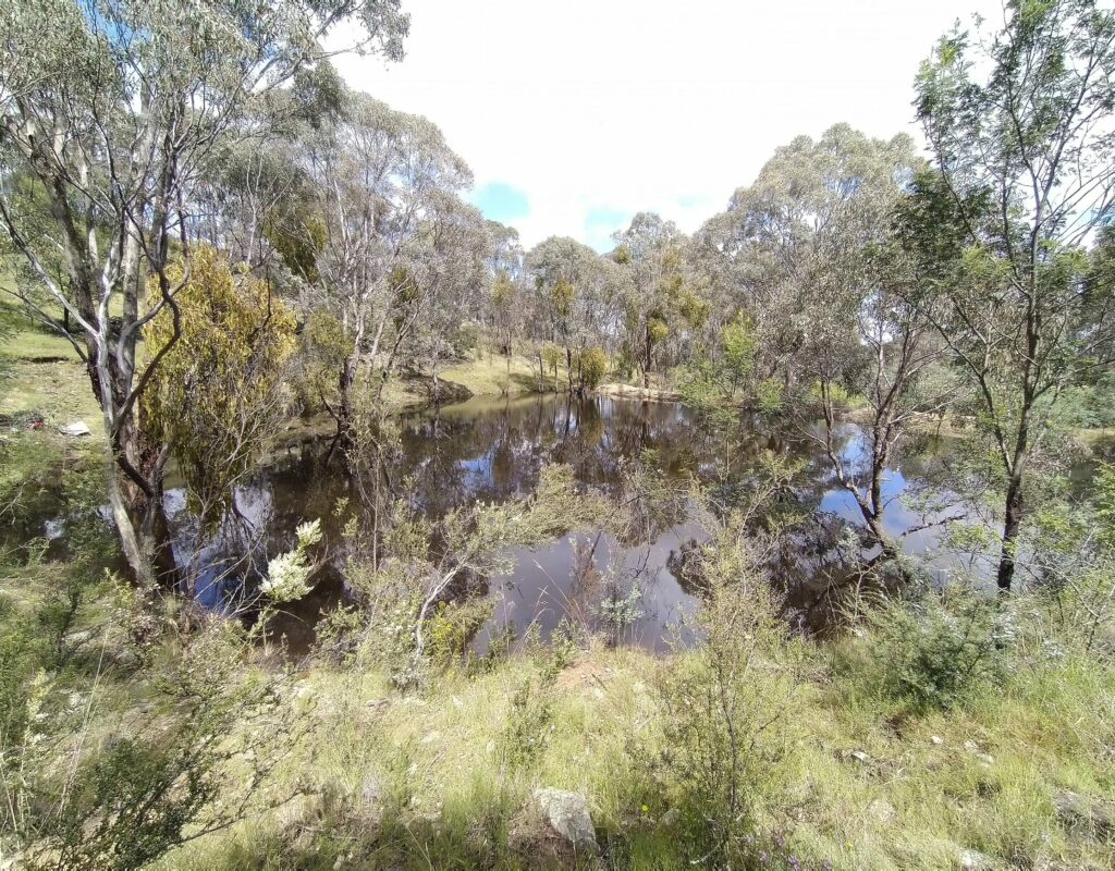 IMG_20220108_112741_1