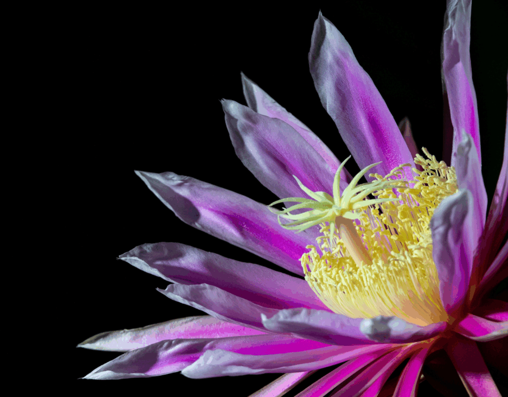 White and Blue Scrapbook Beauty Magazine (88)