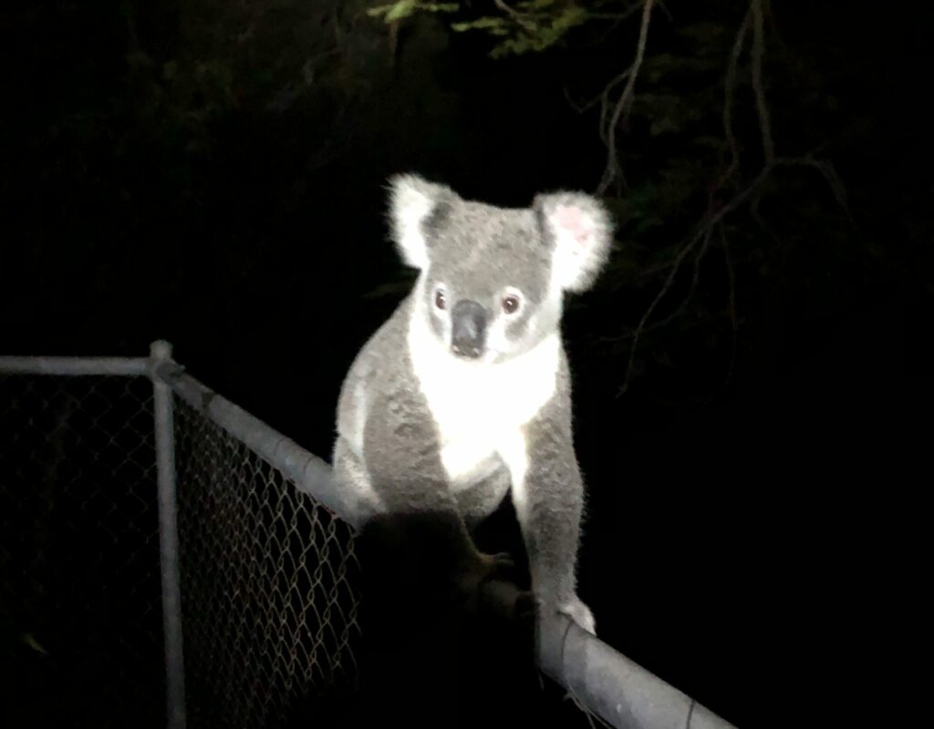 71716910487__89815202-1273-452C-A3AF-3A2EA9ABB2C9