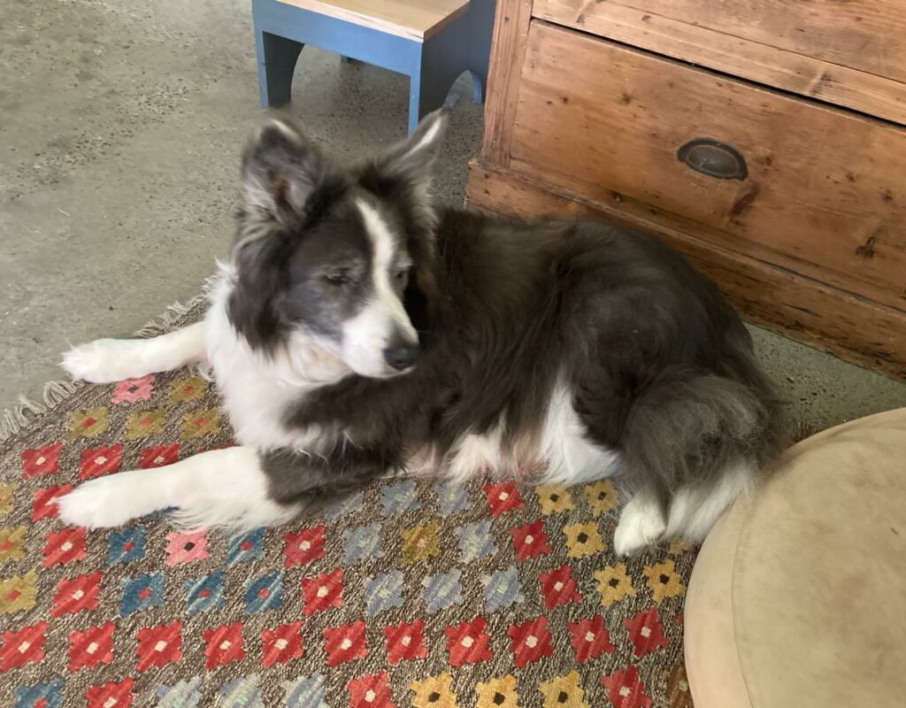 WhatsApp Image 2025-10-20 at 3.20.43 PM