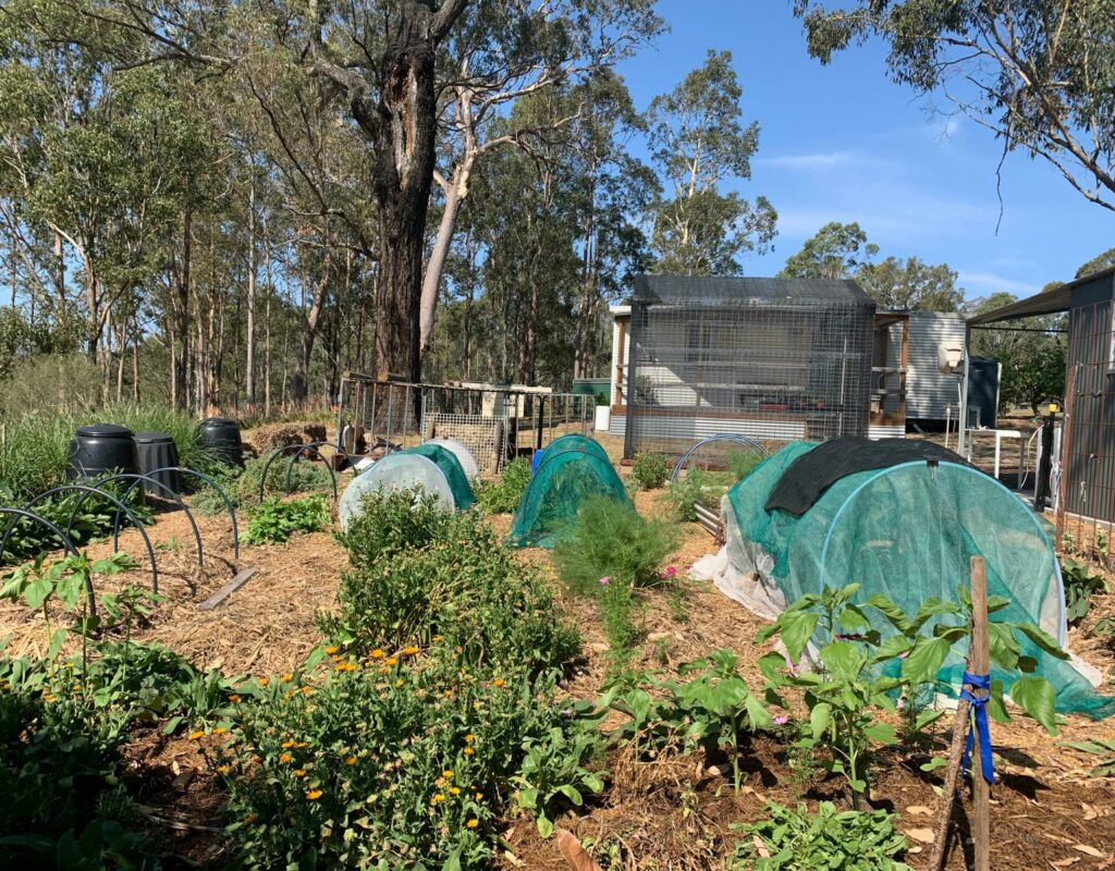 WhatsApp Image 2025-10-20 at 3.30.24 PM (1)