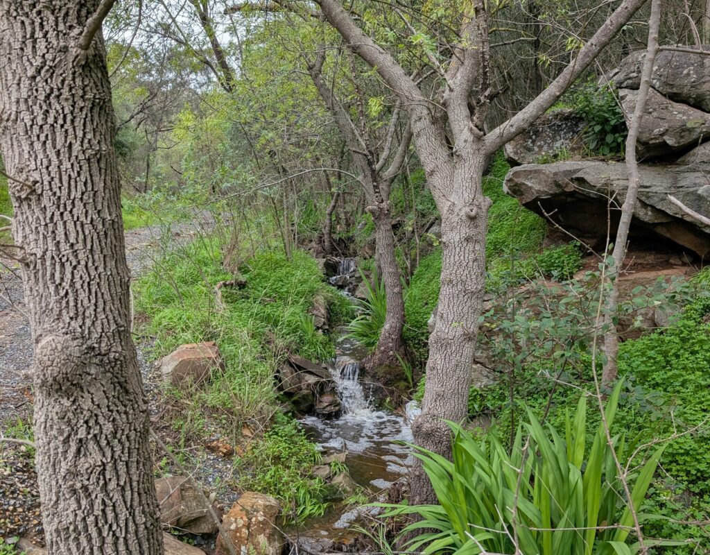 PXL_20250727_014641509