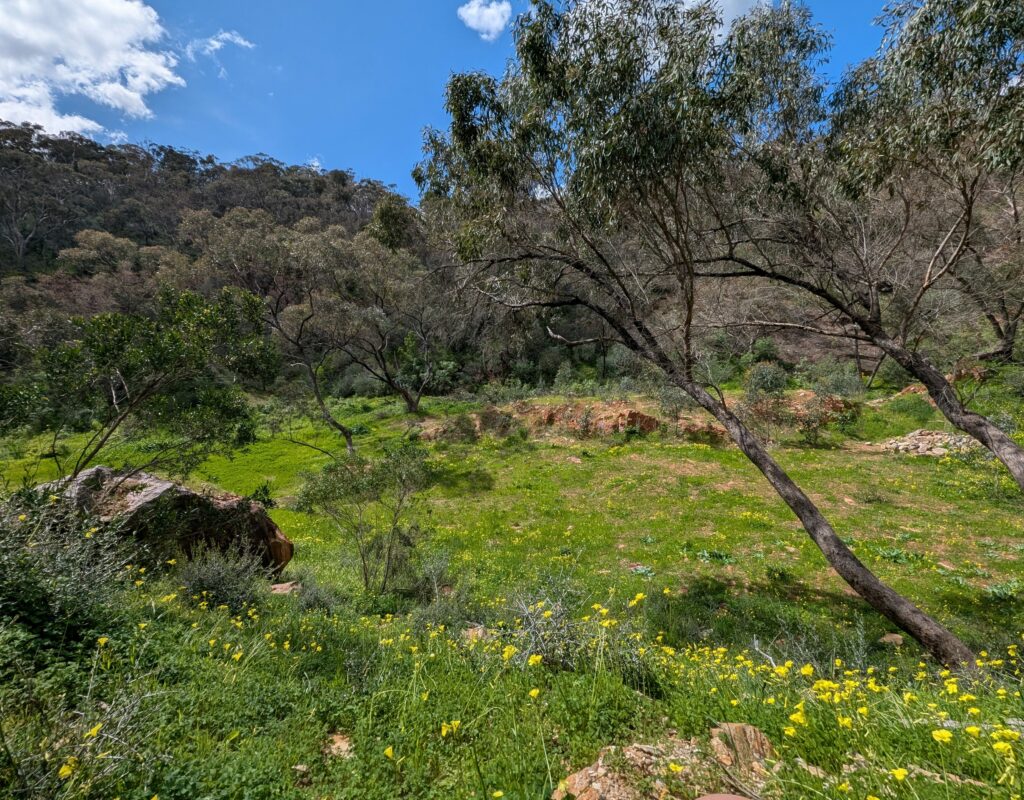 PXL_20250913_031200969