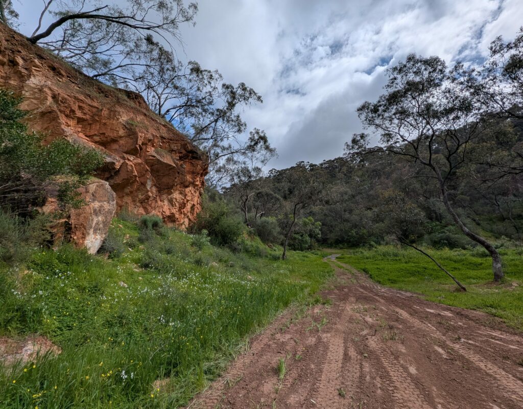 PXL_20250927_004605180