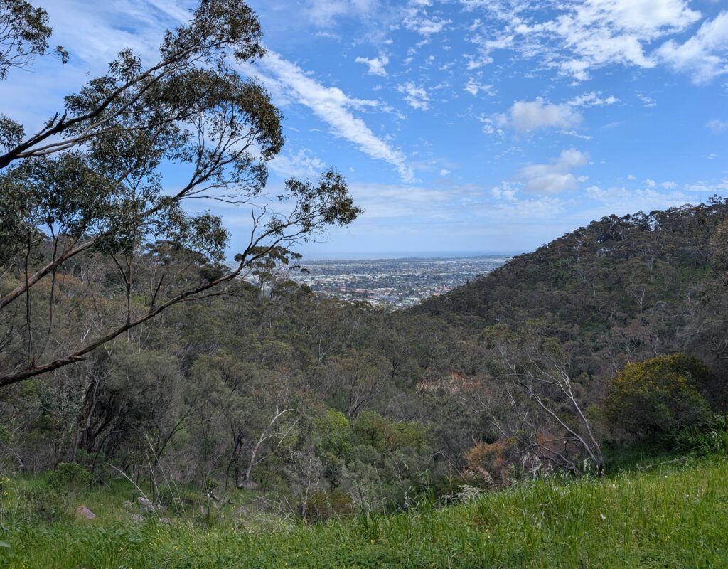 PXL_20250927_015358753