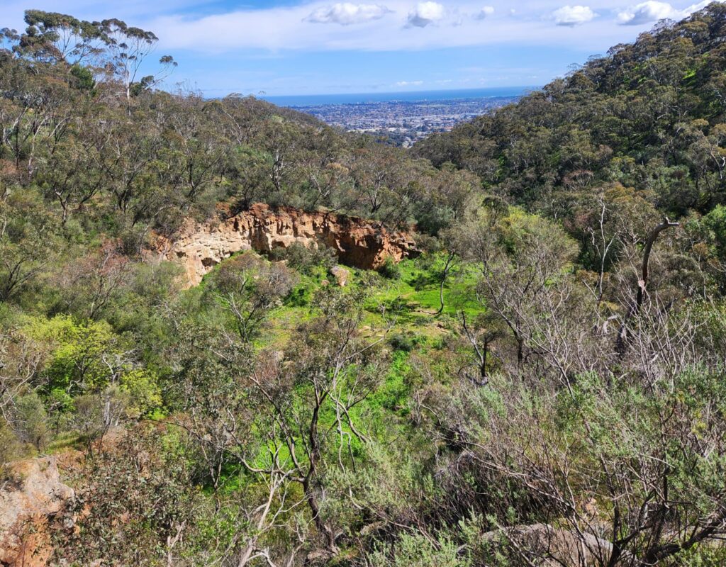 View from the top of the property