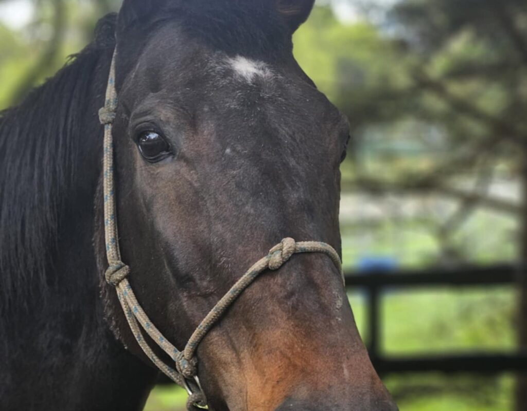 Messenger_creation_DB12E9C1-673A-41D5-86EE-674CB8383567