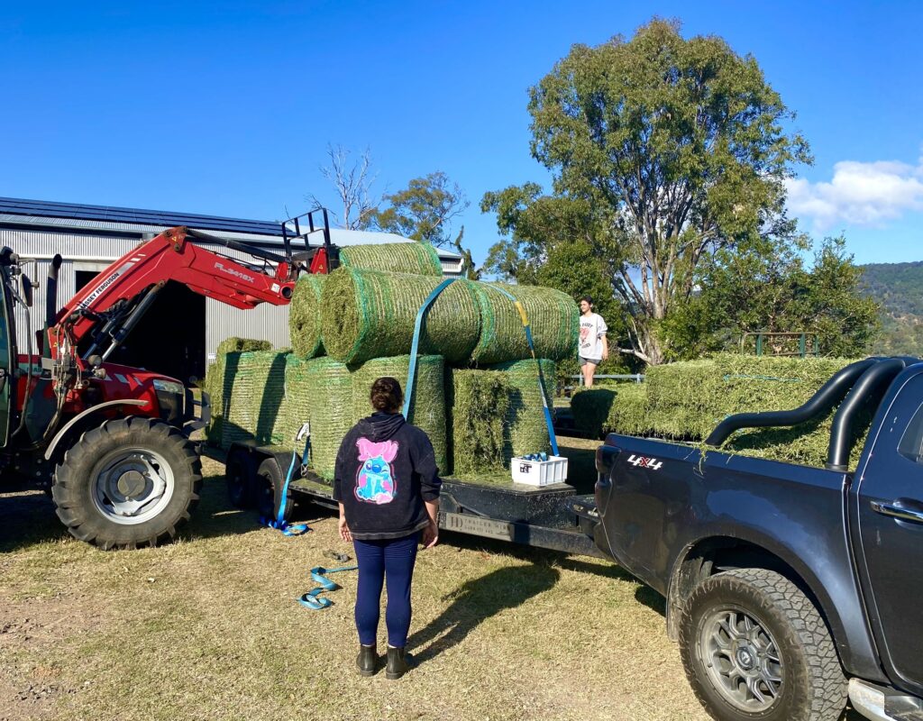 Loading hay