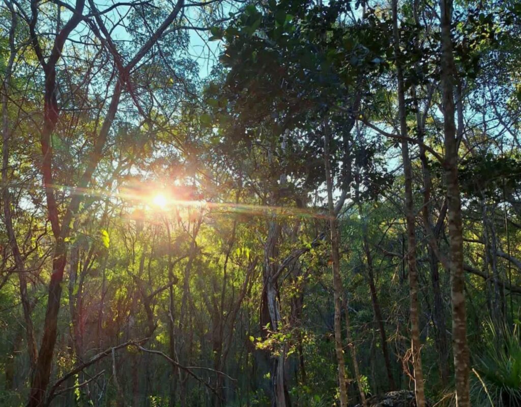 6b5ab196-a8ee-40f2-99d9-9c792dbd7276