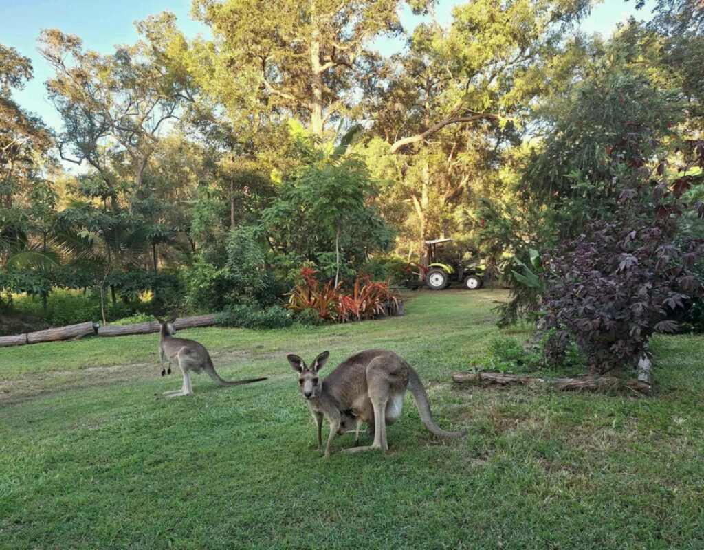 8940b483-c761-4035-b9bb-77af633fe9d8