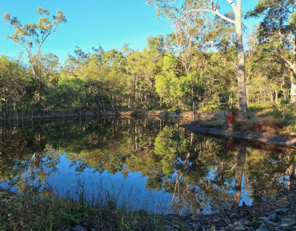 ace9b7d8-4800-43ad-851d-d7de6c48c48d