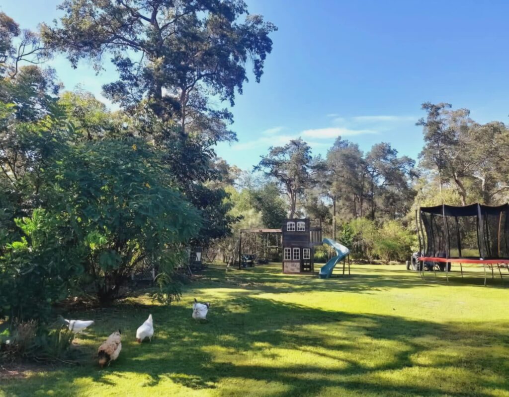 ae3a336a-3868-43af-8446-4d748156e78c