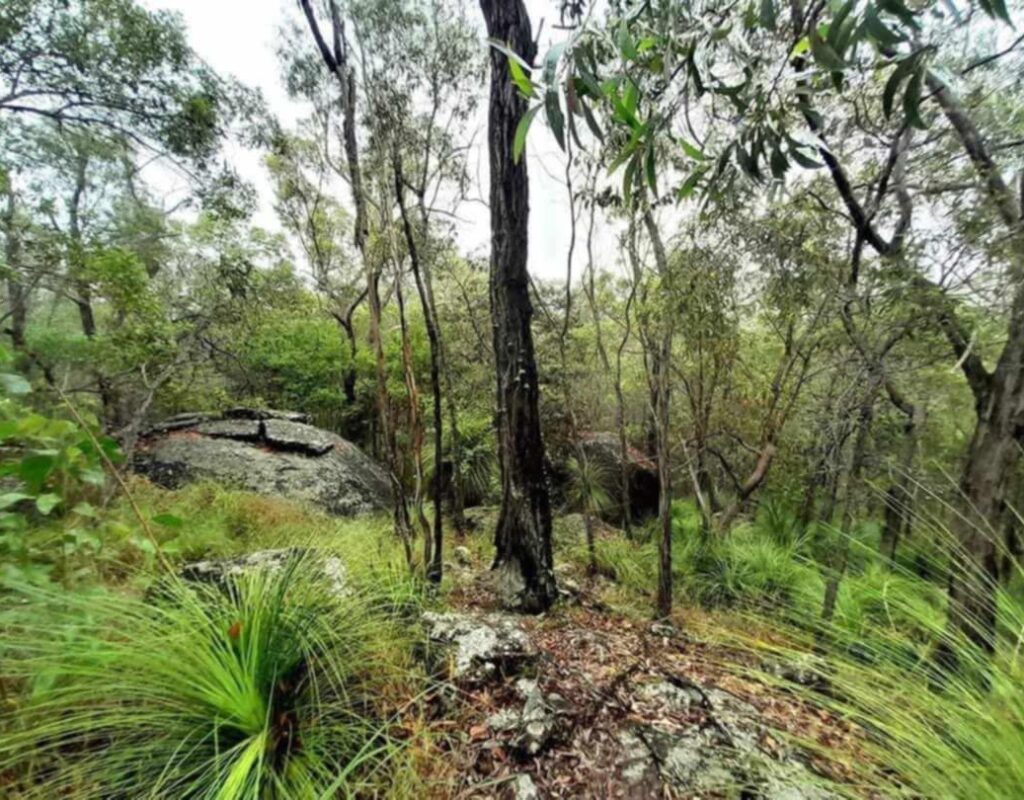 b7dee297-1cae-44a1-903c-7a5ce7102e2b