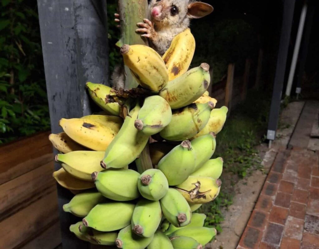 c258f37c-9769-4717-943c-349680caee01