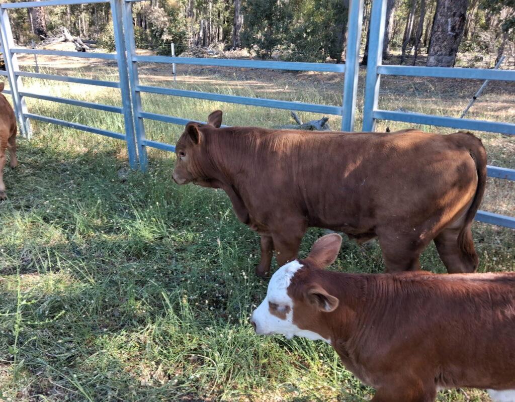 IMG_20251028_173231 (2)