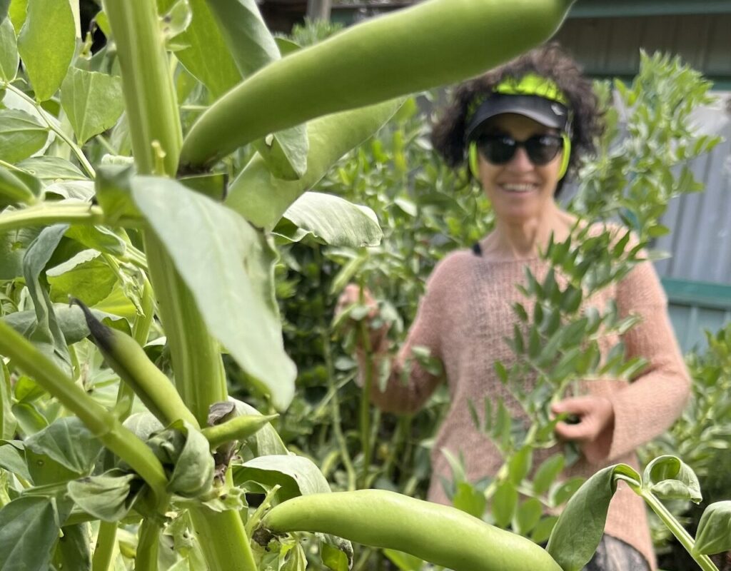 IMG_3183 Maddie &  the beanstalk