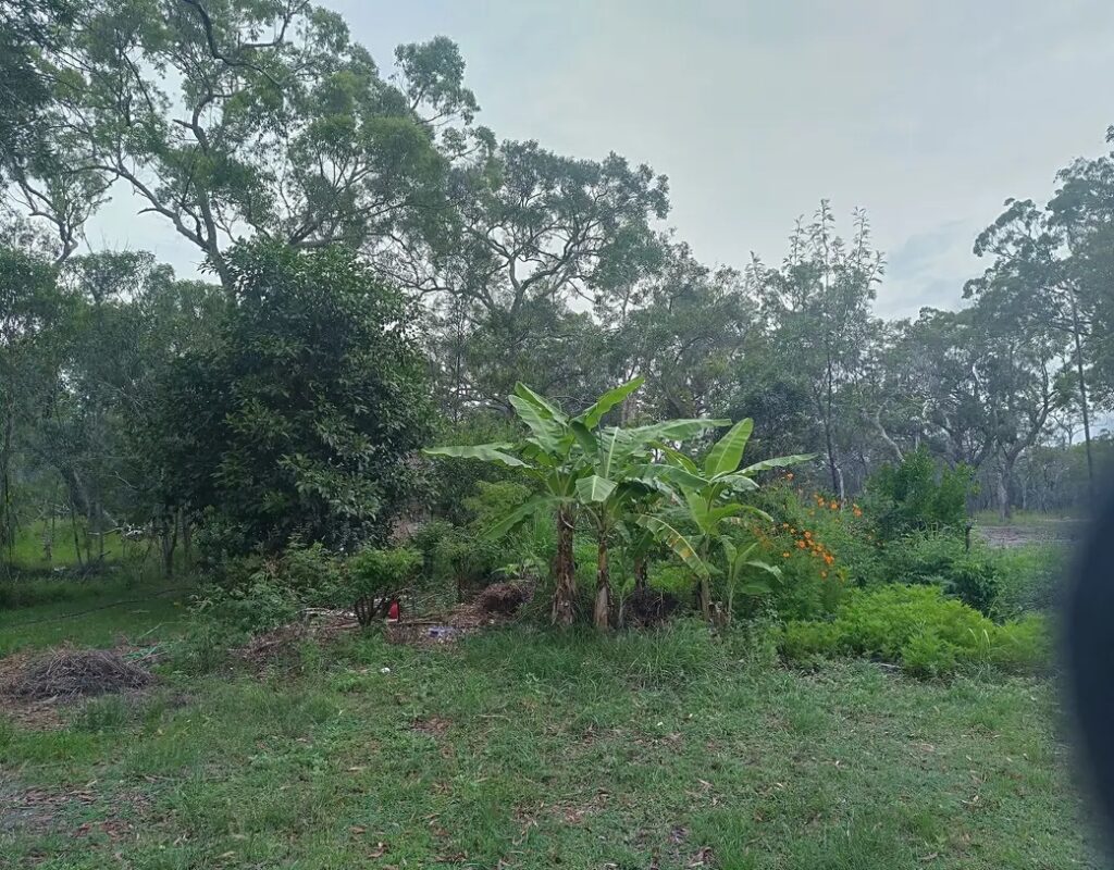 506053602_2165127963912218_7126923178872387933_n