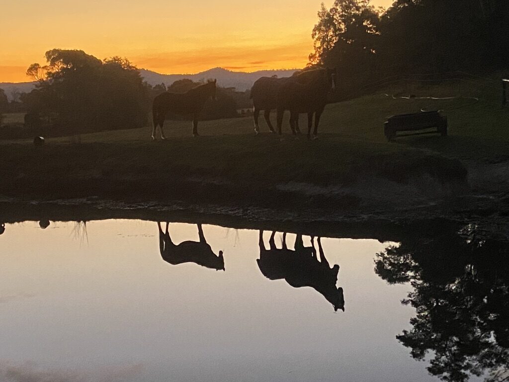 81919390-026C-4F8D-9032-E1858C6409D8_1_105_c